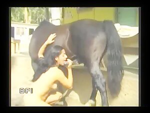 Femmes réelles ayant des relations intimes avec des chevaux