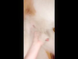 Un'adolescente curiosa scopre il sesso con un cane