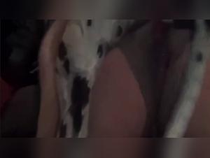 Délices Interdits : L'Arté de la Bestiale Passion