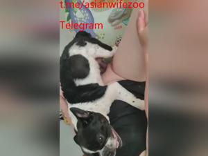 Herzlichen Gluckwunsch chinesischer Hunde, Tiererotik