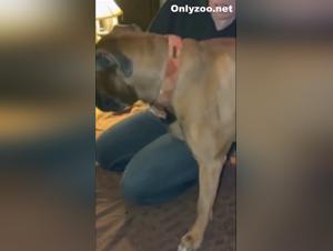 dog fuck sauvage : scènes homemade impitoyables