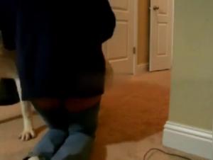 Raw Animality: Fierce Canine Fuck