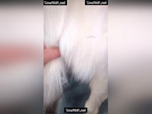 Realistic Spider Fantasy: Wild Kisses with Dog