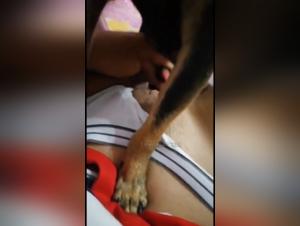 Merciless Zoophilia: Dog Devours Its Owner