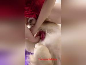 Delicias demoniacas: una asiatica y su perro en una orgia sensual