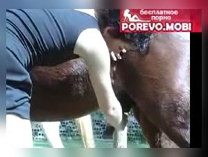 Zoophilia Farm Fury: Horse Devastates a Woman