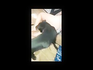 Dog submissive to his mistress