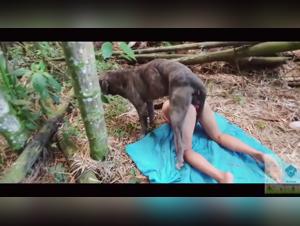 Dominazione canina: Leydi e le sue delizie selvagge
