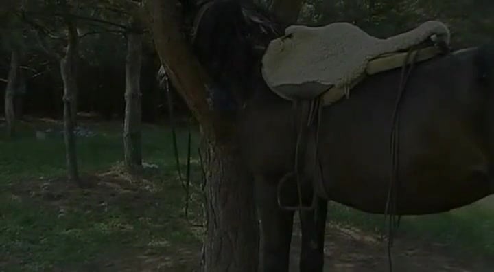 AAS rides a horse hard, no remorse, hardcore action