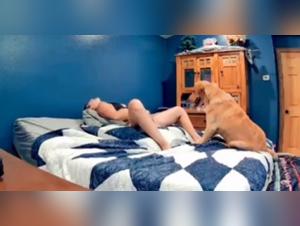 Délices Canins : Sexe Animal Hardcore et Intensément Pulsionnel