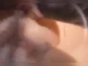 Active Horse Fucking Women 1 — zoo scene
