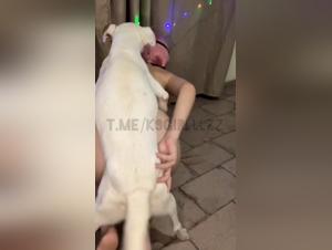 passion pink et k9 : scènes bestiales à l'écran