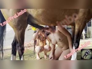 Valeria Banged by a Ravishing Horse