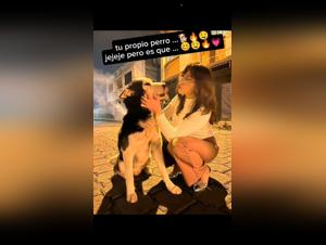 Dogging gets down - bitch ready on TikTok