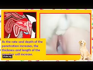 Femme et Chien: Instructions pour une Compilation Excitante