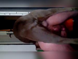 Animalidad incontrolable: MILF y su placer canino