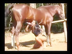 Monica e il suo cavallo in un incontro intenso