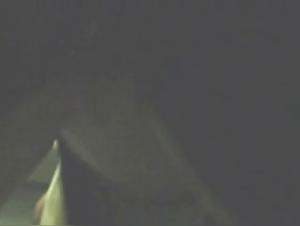 Insatiable animal: Dog fucks woman in doggy position