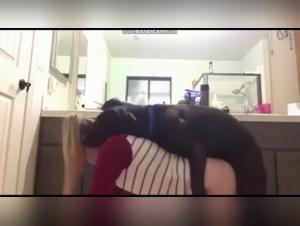 Le Rêve Démoniaque :  Délices Canins Extrêmes