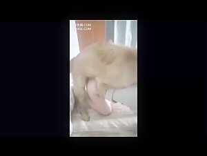 Woman and her dog