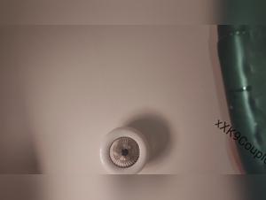 Canine Banging: BBW gives in to animal pleasure