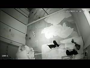 Wilder Fick zwischen einer Schlampe und einem Hund