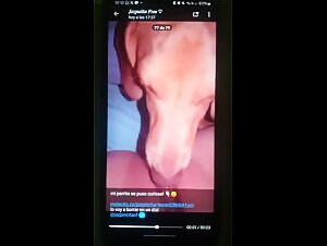 Jasmine et son chien: une rencontre bestiale