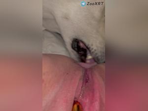 débauche canine, adolescente sous domination féline