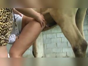 Asian woman fucking with dog