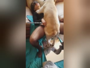 Woman Engages in Submissive Dog Fucking on Couch in Homemade Zoophilia Video