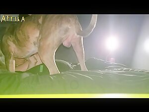 Woman Submissive to the Mercies of Strangers and their Dog on the Beach