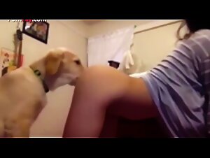 Dog Fantasy Fulfilled: Bestiality at the Heart of Passion