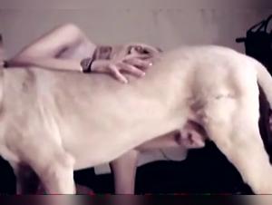 Animal Obsession: Feminine-Canine Delirium