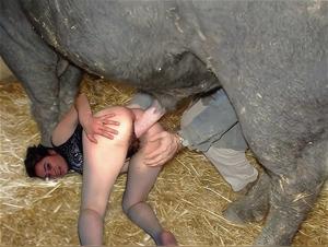 Zoophilia: Animal Delirium - Incredible XXX Videos