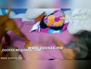 Cow Farm Fuck: Animal Brutality on the Ranch