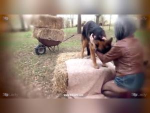 Ariel and Her Lucky Dogs: A Zoophilia Adventure