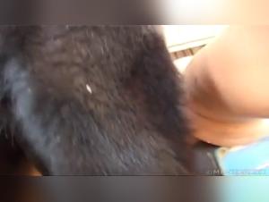 Zooskool: Delicias animales: de los deseos prohibidos a la plena satisfaccion