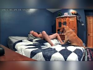 La Passion Pour Les Animaux