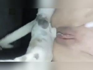 Sapna unveiled: Hardcore animal orgies and salaces
