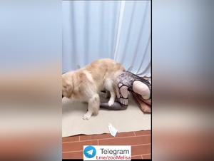 Exalted Fantasies: Chinese Animal Fuck Part 2