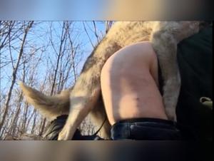 Horse Fuck Donne: 5 Sessioni di Sesso Selvaggio e Hardcore