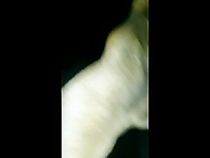 XXX Pets sluts porn xxx animal