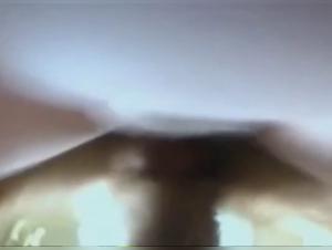 Zooskool: The Abyss of Animal Desire