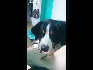 Woman alone with her dog