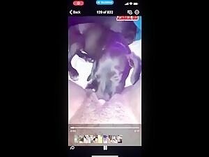 Dog deep licks a black woman