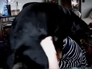 Cum Drinking with Horse: Hardcore Zoophilia