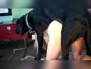 Brutal Zoophilia: Dominant Dog, Submissive Blonde