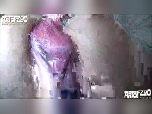 Squish 3: Tierbesessenheit enthullt