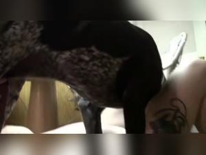 Home Doggy Sex with Chica - Things get seriously hot