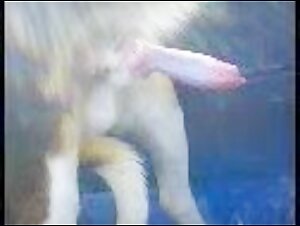 Donna e cane: estasi proibita
